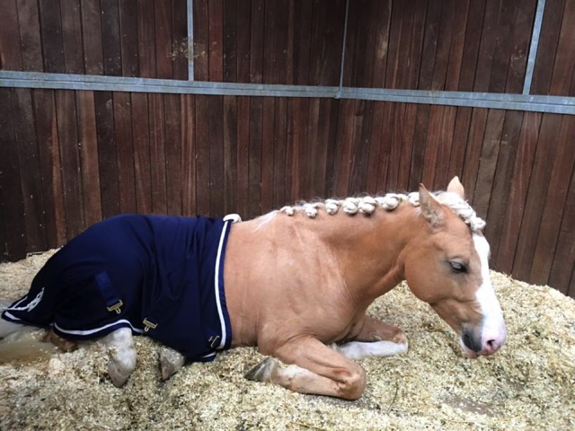 Loading Image